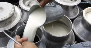 La leche de cúrcuma se puede preparar en casa. Imagen ilustrativa. Foto: Hilda Ríos/Cuartoscuro