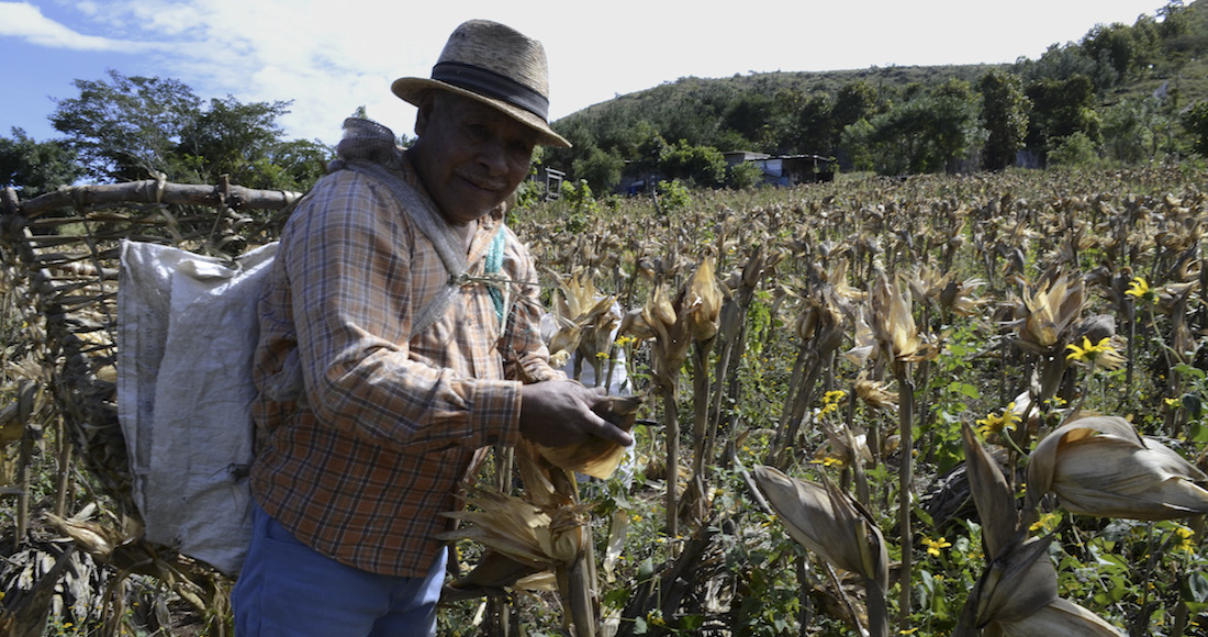 Resultado de imagen para campo cuartoscuro