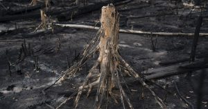 Los impactos del cambio climático en la salud incluyen un mayor riesgo de enfermedad diarréica infantil, olas de calor que crean condiciones laborales peligrosas e incremento en enfermedades por exposiciones a la contaminación del aire. Foto: AP
