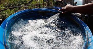 Ocampo apuntó que es fundamental que las plantas tratadoras de agua no solamente tengan un proceso de cloración, si no que pasen por un proceso de filtración de carbón activado. Foto: Especial.