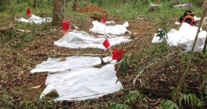 Al menos 20 fosas clandestinas fueron halladas en el Municipio de Córdoba, Veracruz. Foto: Especial/Plumas Libres