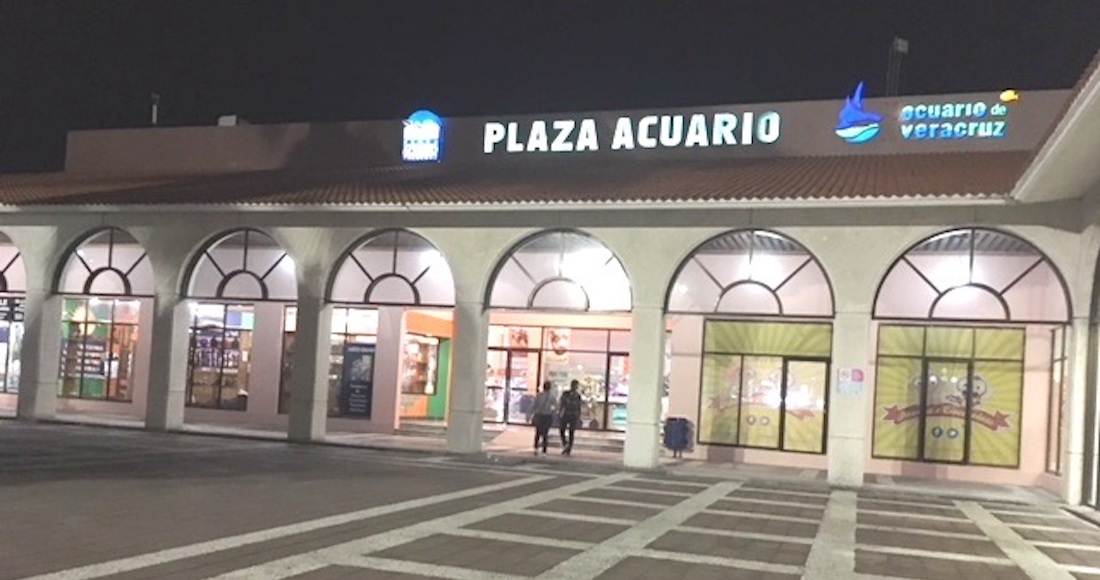 Esta semana imágenes de la fiesta realizada en el Acuario de Veracruz causaron el enojo de decenas de internautas. Foto: Especial vía Plumas Libres. 