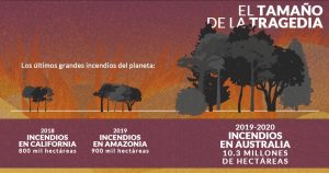 Incendios la gran tragedia del planeta. Foto: Especial