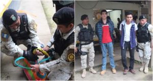 Estos ejemplares habrían sido entregados en metro norte de zona 18 capitalina de Sacatepéquez, para que luego fueran trasladados hacia el estado de Chiapas, México. Foto: Especial, Chiapas Paralelo