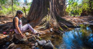 Amira, hija mayor de Samir Flores, de paseo en los Ahuehuetes de Amilcingo con su familia. Foto: Daliri Oropeza, Pie de Página