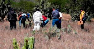 Las autoridades detallaron que el cuerpo mostraba señas de devoramiento en la pierna izquierda y en el tronco corporal. Foto: Pulso