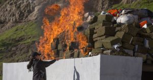 El cruce entre liderazgos y violencia en esta discusión es intencional, toda vez que ambas características de la criminalidad de las mujeres constituyen desviaciones de los estándares socialmente aceptados y reconocidos al interior del crimen organizado, que ameritan ser analizadas a mayor profundidad. Foto: Omar Martínez, Cuartoscuro.