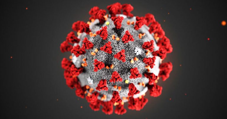 Ilustración proporcionada por los Centros para el Control y la Prevención de Enfermedades de Estados Unidos (CDC) en enero de 2020 del 2019 Novel Coronavirus (2019-nCoV).