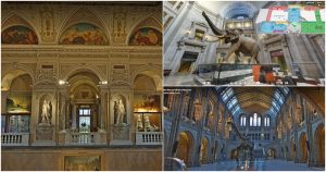 Existen museo que pueden visitarse de manera digital. Fotos: Google Arts & Culture y naturalhistory2.si.edu/