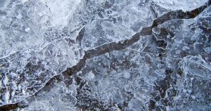 “Todos estamos acostumbrados a morirnos cada cierto tiempo y tan poco a poco que la verdad es que cada día estamos más vivos. Infinitamente viejos e infinitamente vivos".- Roberto Bolaño. Foto: Especial