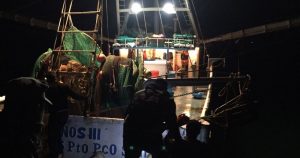 La extracción ilegal de especies silvestres en México va cada vez más de la mano con otras empresas ilegales del país. Foto: Cuartoscuro.