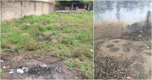 Hasta ahora, la Fiscalía General del Estado tampoco ha dado a conocer el protocolo para rescatar esos cadáveres o dónde serán colocados mientras se identifican. Foto: BlogExpediente, Especial 