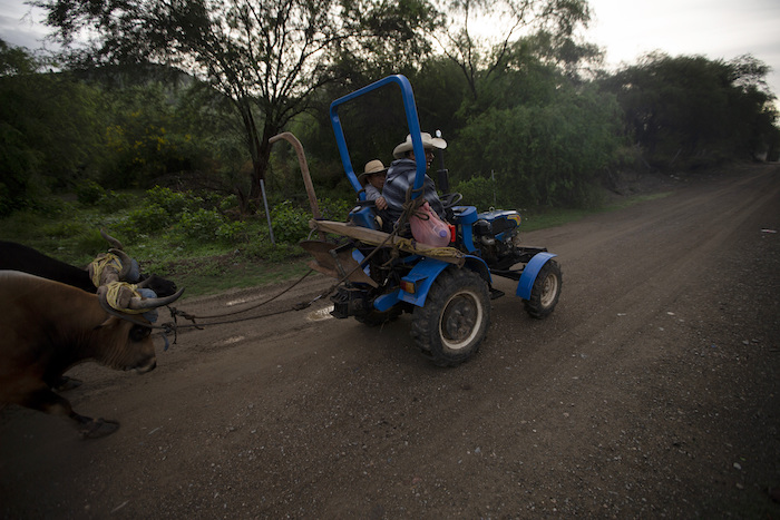 Felipe Martínez, que tenía un trabajo en la construcción en Estados Unidos, lleva a un vecino en su tractor mientras maneja hacia sus campos, en los que cultiva maíz, en San Jerónimo Xayacatlán, México, el 26 de junio de 2020. Martínez dijo que compró la tierra y el tractor con el dinero que ganó trabajando en Staten Island, Nueva York.
