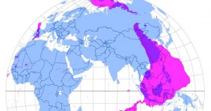La aplicación te revelará, a través de un mapa virtual, cuál es lugar de nuestro planeta que se encuentra en el extremo diametralmente opuesto.  Foto: Mapa Antípodas