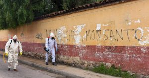 Las conspiraciones mundiales y el covid19 . San Cristóbal de Las Casas, inicios de la desinfección en el mercado municipal. Foto: Isaac Guzmán.