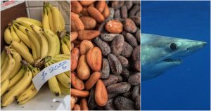 El calentamiento global desempeña un papel fundamental en el negro futuro de muchos de los alimentos. Fotos: Cuartoscuro/EFE