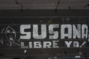 susana-prieto-terrazas-protestas