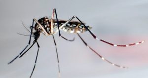 Especialistas han señalado que son muy pocos los pacientes con COVID-19 que tienen el virus en la sangre, porque se transmite de manera viral, no sanguínea. Foto: Gustavo Amador, EFE