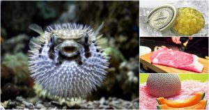Pez Fugu, Melón Yubari, Buey de Kobe y Caviar Almas, cuatro de los alimentos más caros. Foto: Collage.