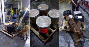 Las autoridades confiscaron 113.5 kilogramos de fentanilo en el AICM. Foto: Especial.