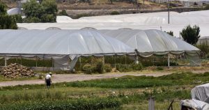 Los trabajadores denunciaron que la empresa se niega a pagarles su salario. Foto ilustrativa: Crisanta Espinosa Aguilar, Cuartoscuro.