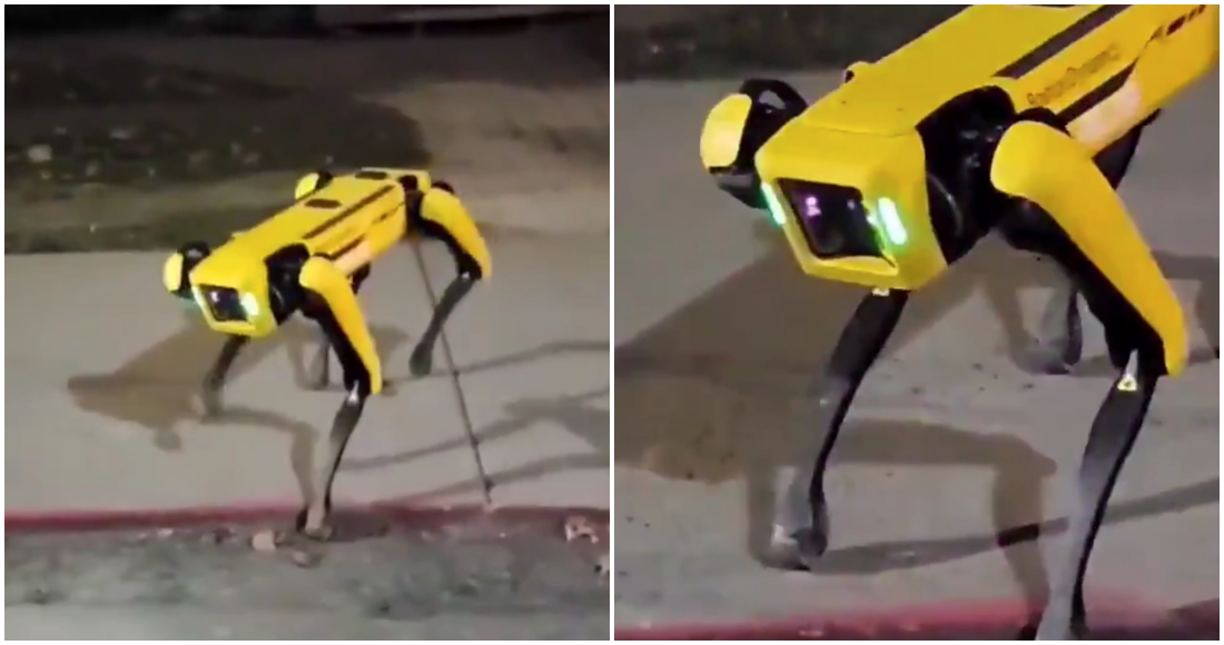 Photo of Un perro robot patrulla las calles de Canadá y un VIDEO sorprende a los usuarios de la red