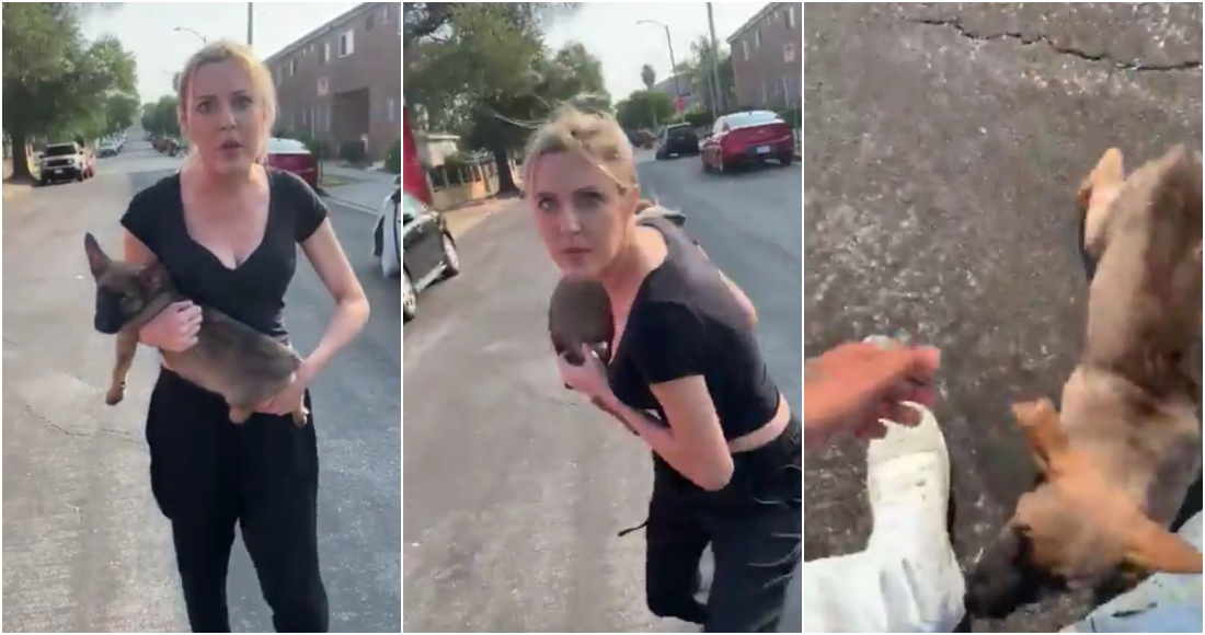 Fuerte video: un hombre en los Estados Unidos arroja un cachorro a una mujer diciendo comentarios racistas