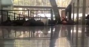 Al parecer, dos personas resultaron heridas. Foto: Captura de pantalla.