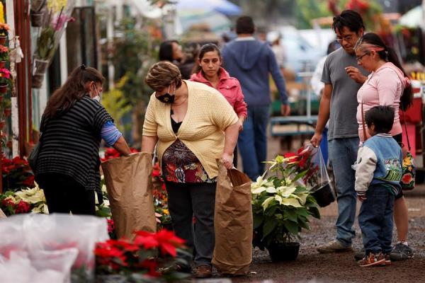 venta-nochebuenas-covid-19