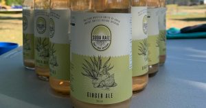 "Dados los datos de consumo de refrescos en México creemos que es importante que el mercado tenga una mayor presencia de bebidas carbonatadas más saludables", destacó la compañía. Foto: Facebook Soda Raíz.