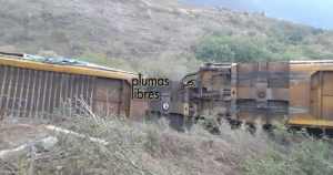 Los autos transportados por el tren eran de la empresa Volskwagen. Foto: Plumas Libres.