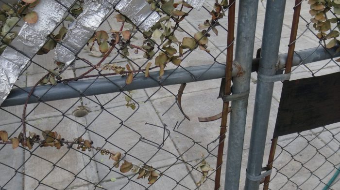 desalojo-casa-puebla