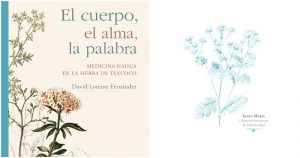 De forma coral y polifónica, el libro reúne las voces de una pluralidad de terapeutas indígenas. Foto: Artes de México 