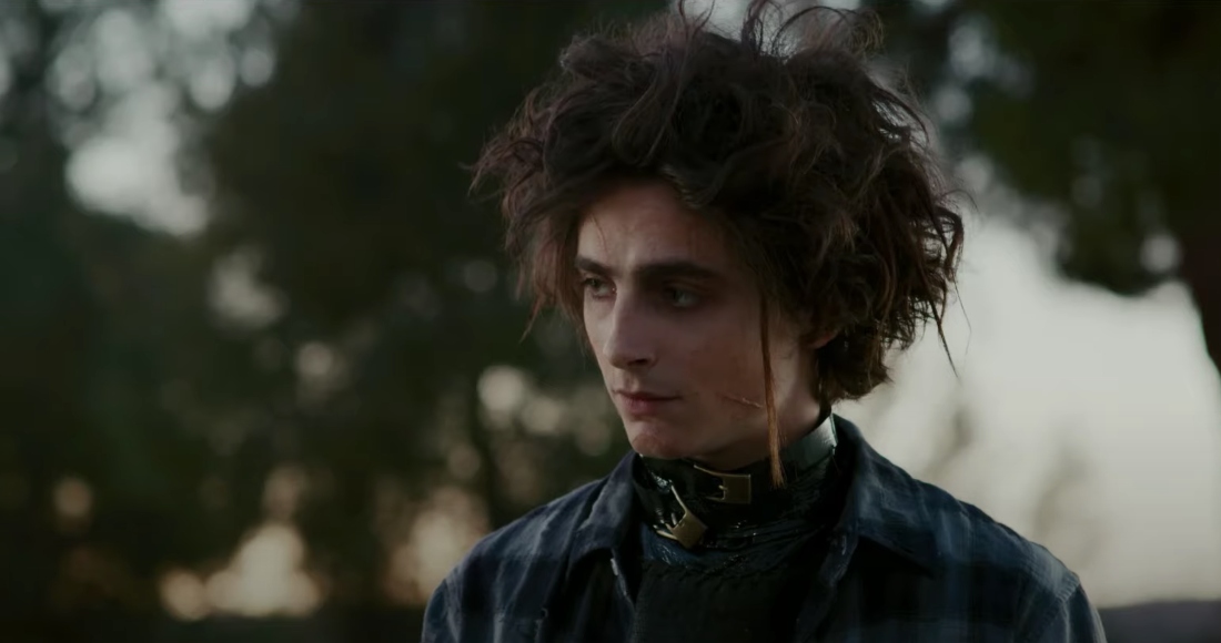 Timothée Chalamet interpreta a Edgar, el hijo de Edward Scissorhands. Foto: Especial