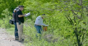 Los cuerpos fueron hallados en Sonora. Foto: Juan Carlos Cruz, Cuartoscuro.