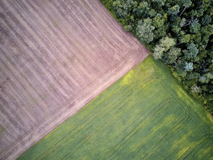 LUCHADRES-SERLVA-OPEN-1