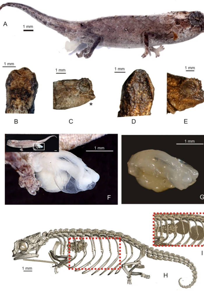 Se-0602 6 Sinembargo Mx