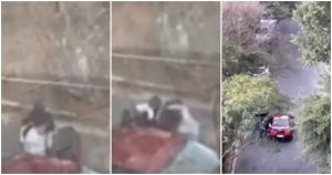 Por medio de redes sociales se difundió un video en el que muestra cómo un hombre es golpeado para obligarlo a subir a un vehículo Jetta rojo. Foto: Captura de video