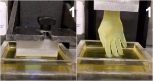 Los científicos sostienen que su avance podría ayudar a salvar muchas vidas resolviendo el problema de la escasez de órganos de los donantes. Foto: Especial