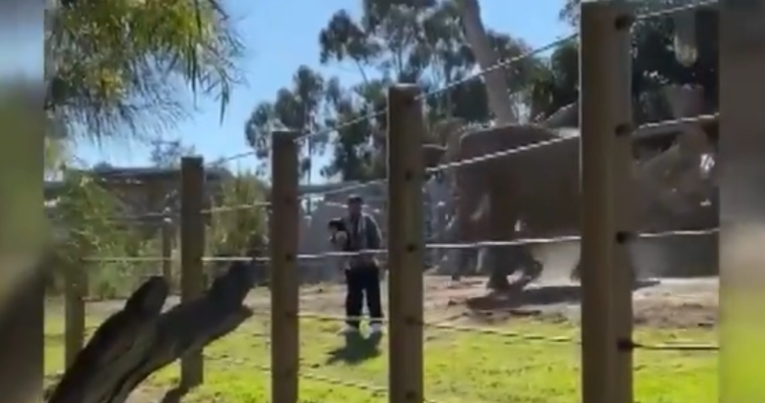  De acuerdo con la agencia AP el hombre arrestado se llama José Manuel Navarrete, quien habría sido detenido con una fianza de 100 mil dólares. Foto: Captura de video. 