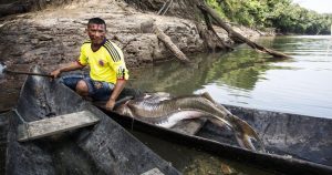 Un indígena Macuna pesca en el rio Apaporis. Foto: Juan Gabriel Soler, Fundación Gaia Amazonas.