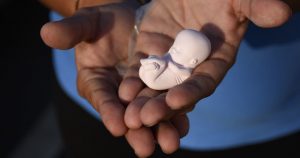 El tuit rápido provocó el acoso, hostigamiento y amenazas de personas y grupos pro vida en los perfiles de Facebook de las mujeres. Foto: Cuartoscuro