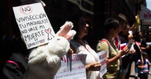 La ONG Te protejo pide eliminar las pruebas cosméticas en animales. Protesta en CdMx contra el uso de animales en experimentos, en 2018. Foto: Moisés Pablo, Cuartoscuro. 
