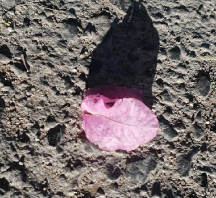 Labios del amanecer.