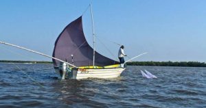 Captura de camarón en las riberas mexicanas. Foto: Conapesca vía Noroeste. 