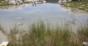 Las autoridades informaron que las víctimas eran originarias del municipio de Apan, en el estado de Hidalgo. Foto: Cuartoscuro