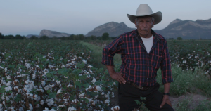 Toño en campo algodón en una de las tomas del documental. Foto: Cortesía para SinEmbargo 