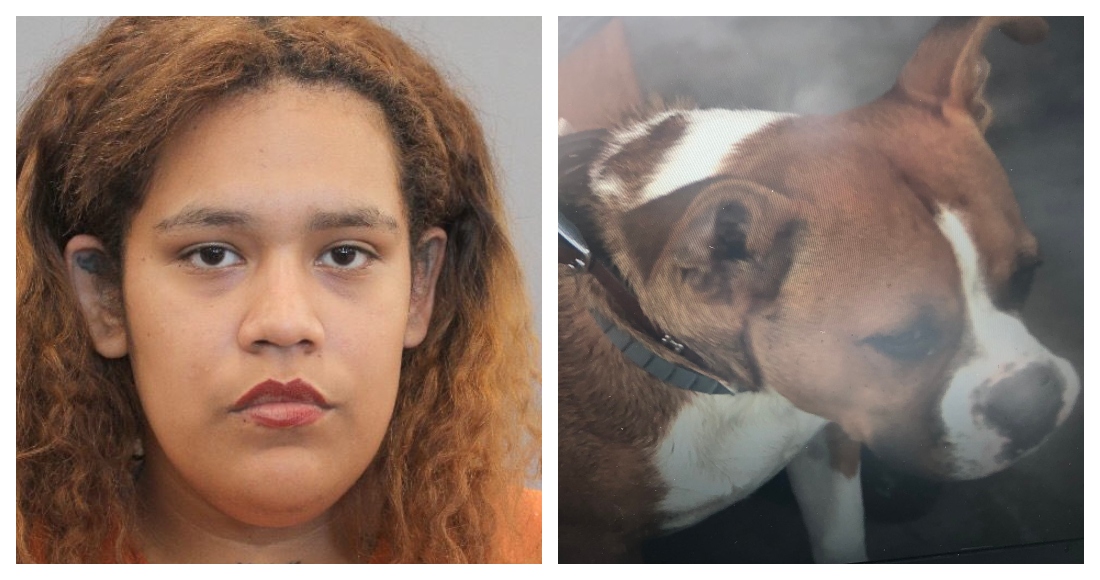 La mujer abrió fuego tres veces en contra del cachorro. Foto: Twitter @KPRC2Deven
