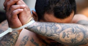 Los integrantes de la MS13 enfrentarán cargos de terrorismo en EU. Foto: Telemundo