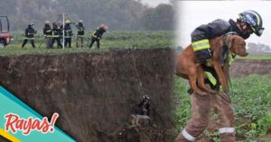 Héctor Hugo Pimentel carga a "Spay", luego de extraerlo del socavón. - Fotos: Especial / Diseño: Víctor Garay. 